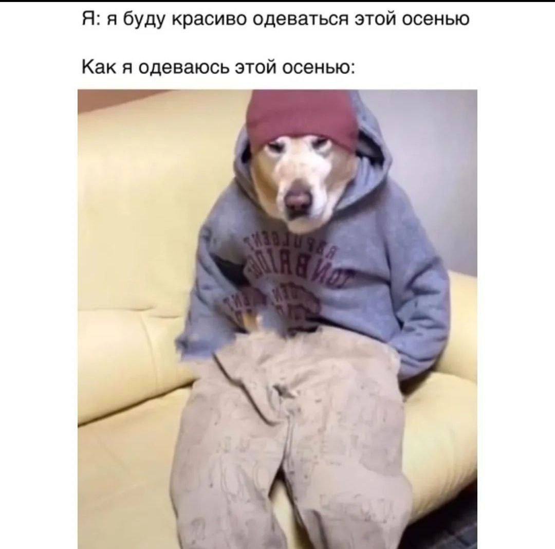 Фотография поста