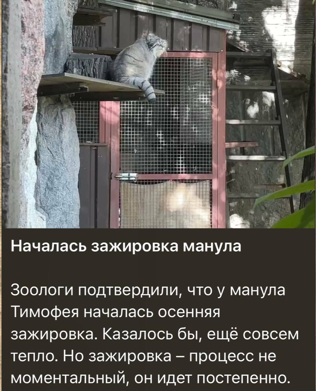 Зима близко, про гибкость и неопределённость image preview