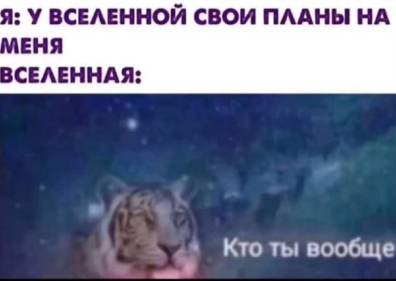Как стать автором своей жизни image preview