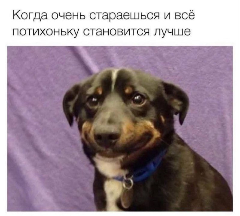 Фотография поста
