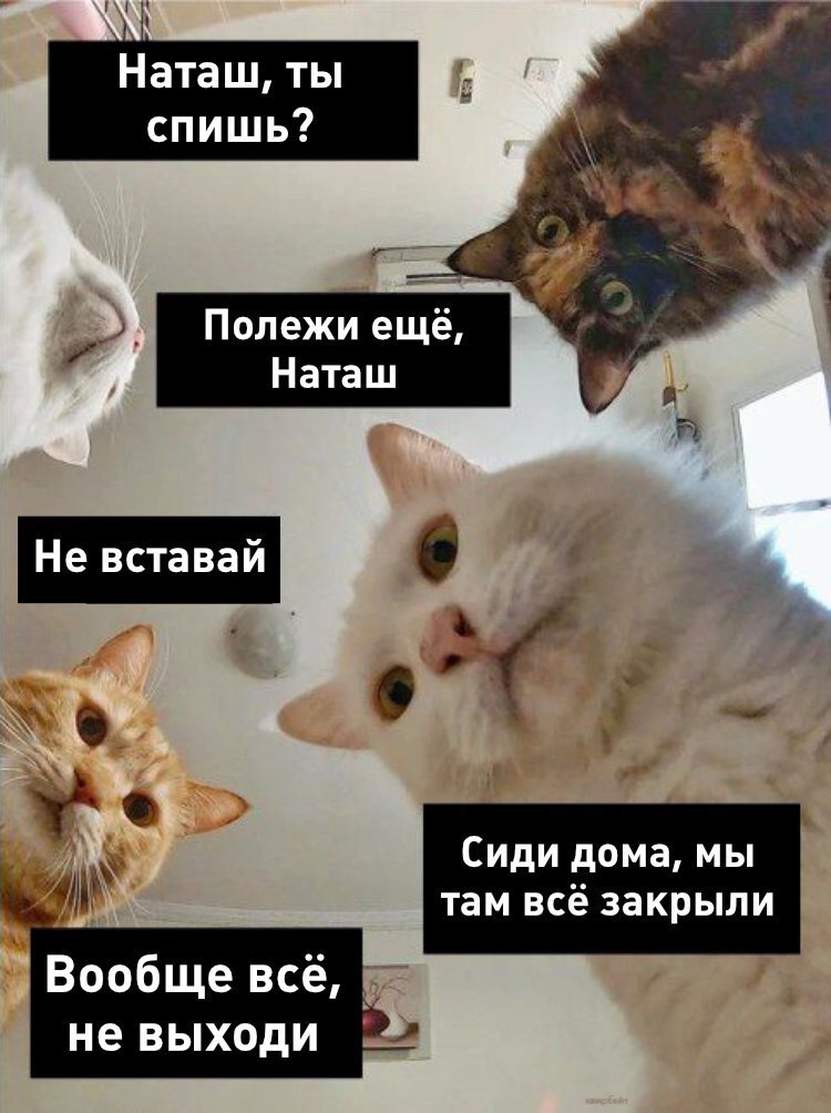 Фотография поста